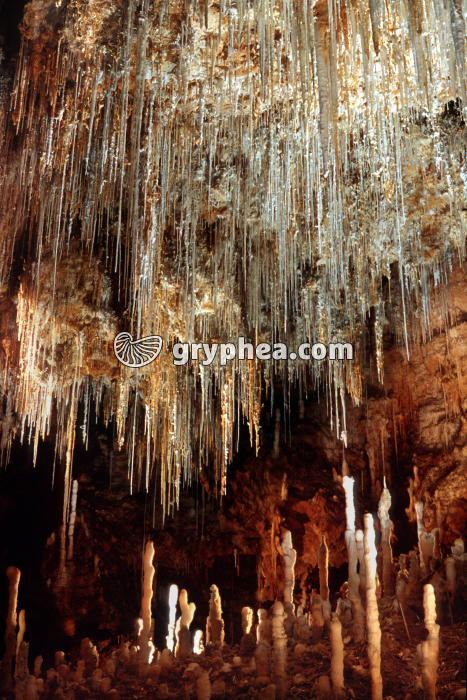 Fistuleuses et stalagmites - Grotte de Clamouse (Hérault) - gryphea.org